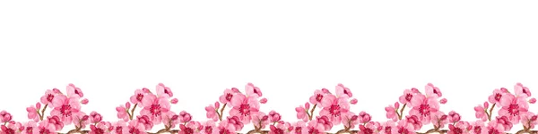 Seamless pattern with sakura — Stock Photo, Image