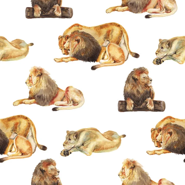 Naadloos patroon met aquarel leeuwen. — Stockfoto