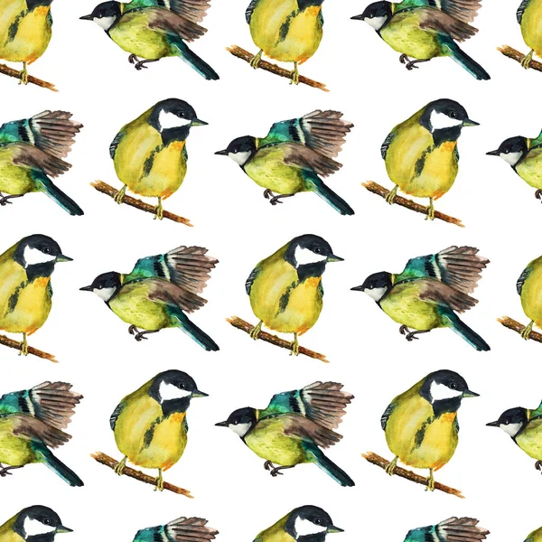 Seamless pattern with tomtits — Stock Photo, Image