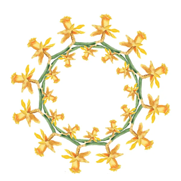Narcissus flower wreath — Stock Photo, Image