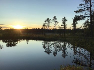 Vahşi orman gölünde gün batımı.