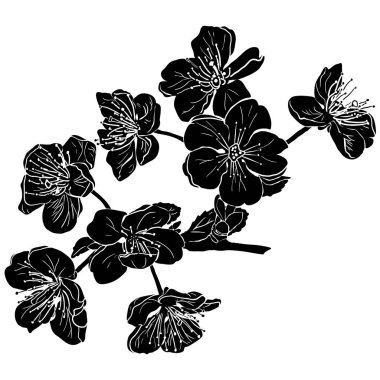 Siyah elma ağacı çiçekleri silueti