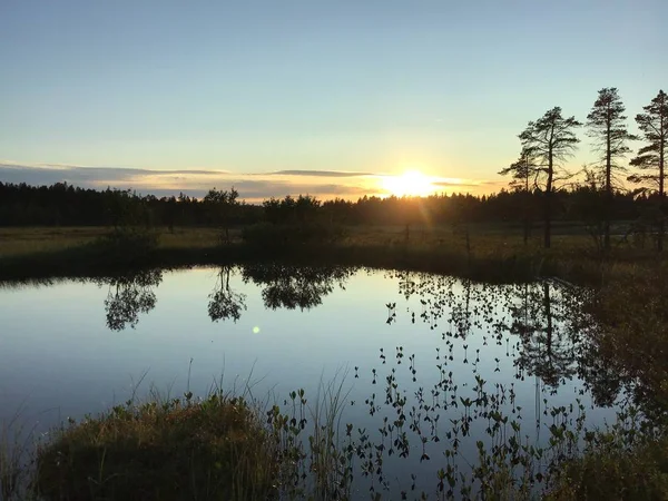 野生の森の湖の夕日. — ストック写真