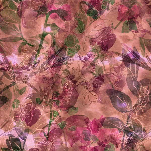 Seamless pattern with garden vetch. — Stock Photo, Image