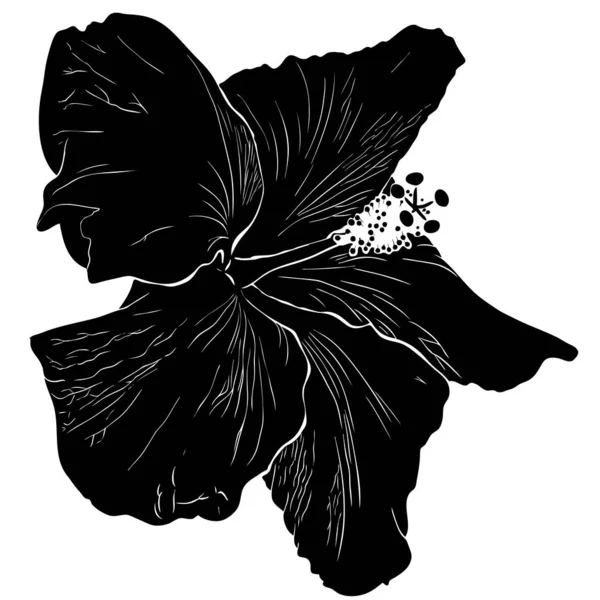 Чорний Силует Квітки Гібіскуса Білому Тлі — стоковий вектор
