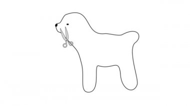 Proffesional hayvan bakımı. Makasla kaniş için modern tarzda saç kes.