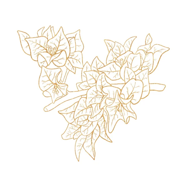 Goldene Umrisse Bild von Blumen von Bougainvillea. — Stockfoto