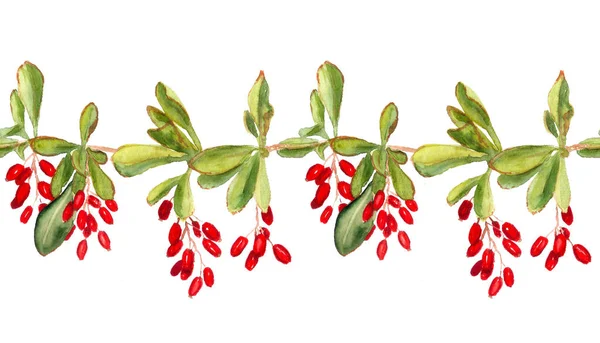 Безшовний візерунок з червоними ягодами барбарису — стокове фото