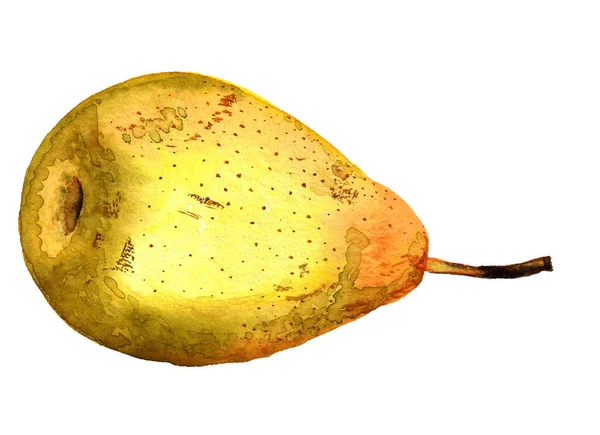 Сочная желтая китайская груша. — стоковое фото