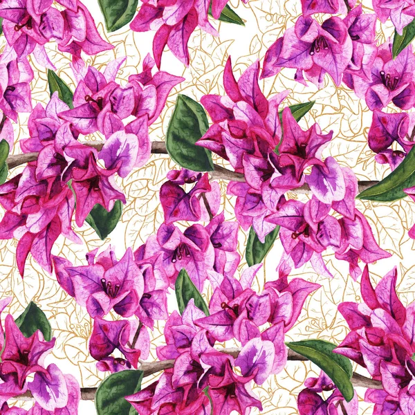 Безшовний візерунок з квітами бугенвіля . — стокове фото