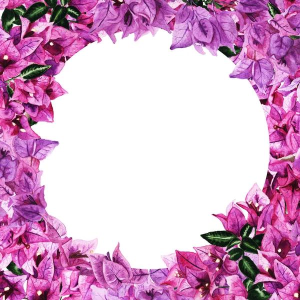 Romantic round frame with flowers of bougainvillea — Stock Photo, Image