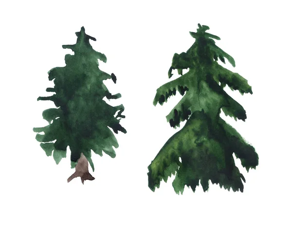 Two watercolor fir trees. — Stock Photo, Image