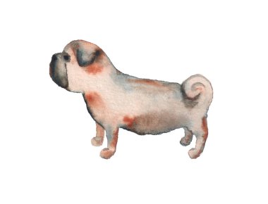 Pug 'un suluboya resmi.
