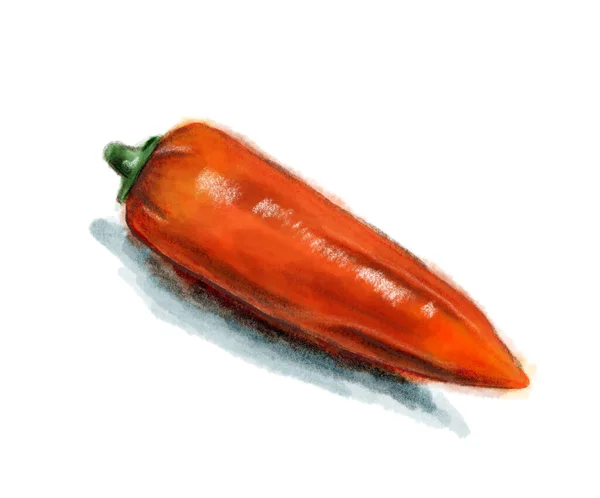Рисунок красного перца чили. — стоковое фото