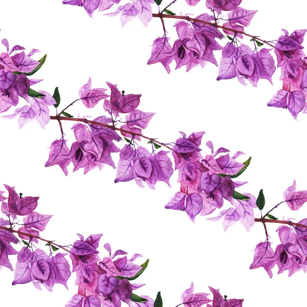 Nahtloses Muster mit Blüten der Bougainvillea. — Stockfoto