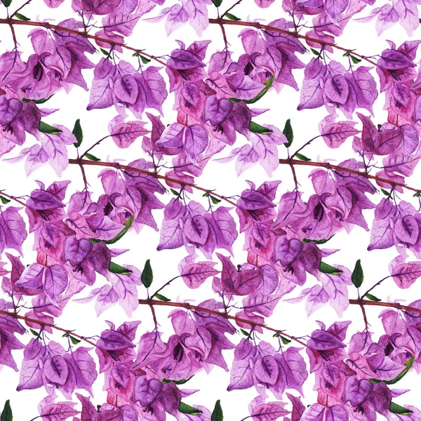 Seamless pattern with flowers of bougainvillea. — Stock Photo, Image