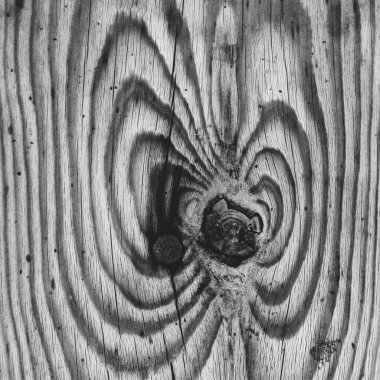 Ağacın dokusu kulaklara benzer