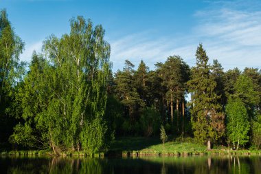 Zakharovo Park Rus manzara