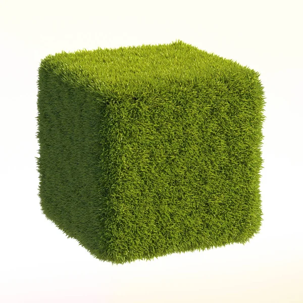 Cube Herbe Isolé Sur Fond Blanc Rendu — Photo