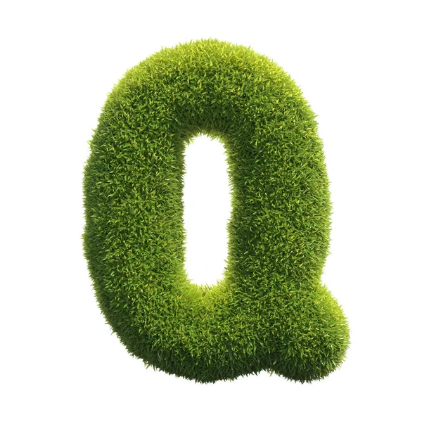 Grass Font Rendering Letter — Stock Photo, Image