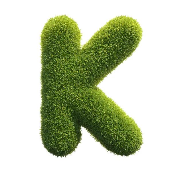 Grass Font Rendering Letter — Stock Photo, Image