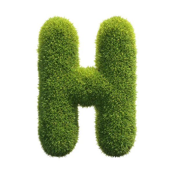Grass Font Rendering Letter — Stock Photo, Image