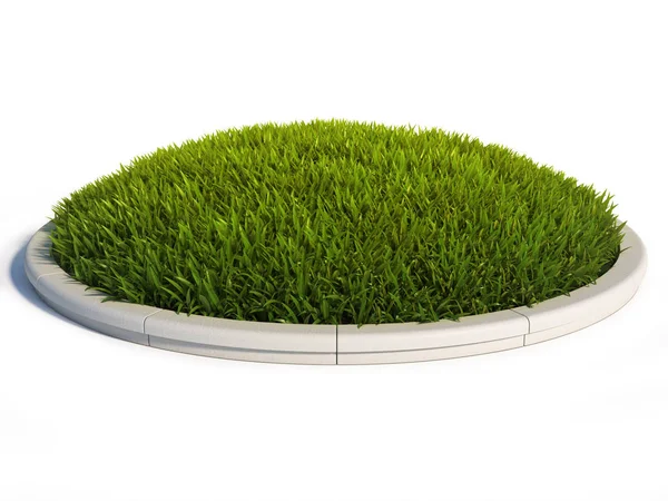 Grass Surface Concrete Rim Rendering — Stock Photo, Image