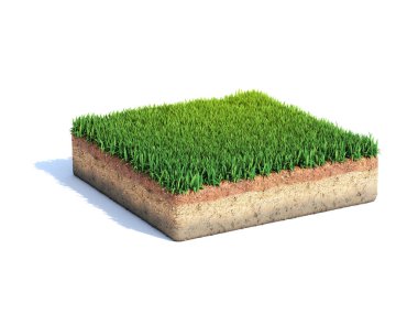 Çimenlerle, ekolojiyle, jeoloji konseptiyle, toprağın beyaz üzerine izole edilmiş toprak örneğiyle, 3D renkle kesişmiş.
