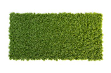 Çimlerle kaplı küçük kare yüzey, çim podyum üst görünüm, çimen arka plan 3D görüntüleme