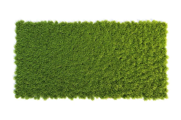 草で覆われた小さな正方形の表面 草の表彰台トップビュー 芝生の背景3Dレンダリング — ストック写真