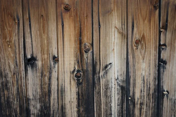 Kahverengi ahşap tahta duvar. Kurulları ile deniz mili.