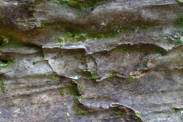 コケや地衣の成長する岩の上. — ストック写真
