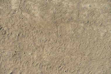 Patikadan doku. Tozlu yaz yol. Hareket izleri.