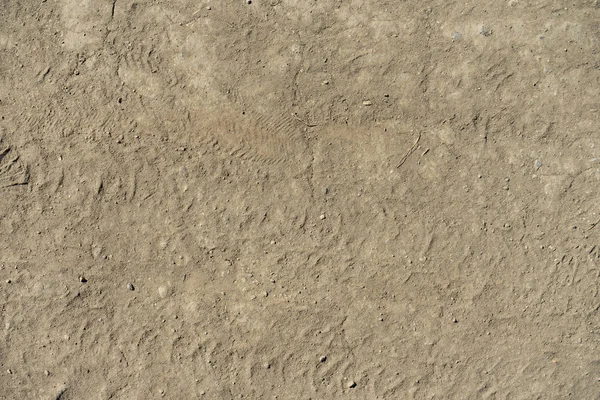 Patikadan doku. Tozlu yaz yol. Hareket izleri.