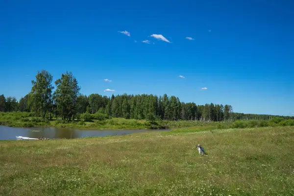 Nehir ve bulutlarla dolu yaz manzarası