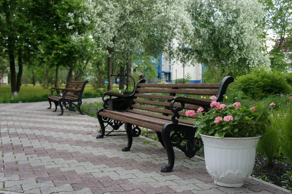 Banc dans le jardin de printemps sous le pommier en fleurs — Photo