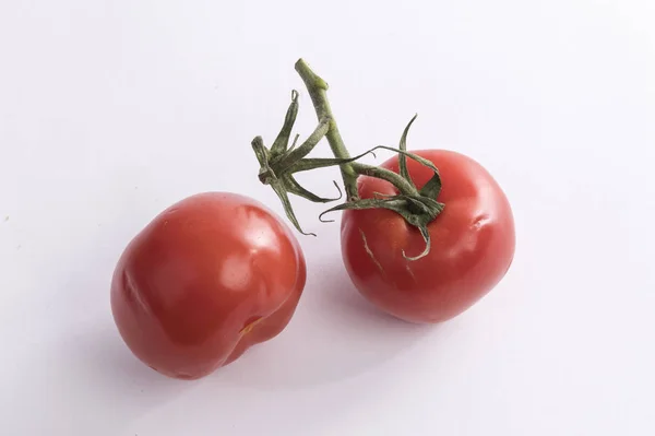 Dois Tomates Ramo — Fotografia de Stock