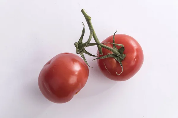 Dois Tomates Ramo — Fotografia de Stock