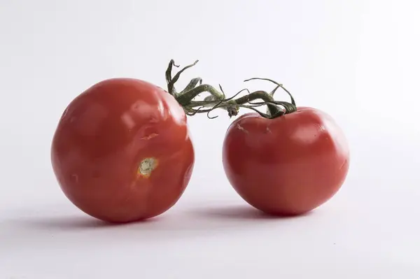 Dois Tomates Ramo — Fotografia de Stock