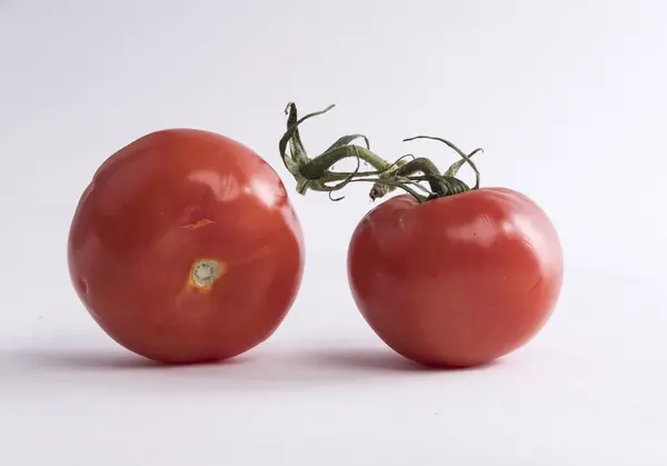 Dois Tomates Ramo — Fotografia de Stock