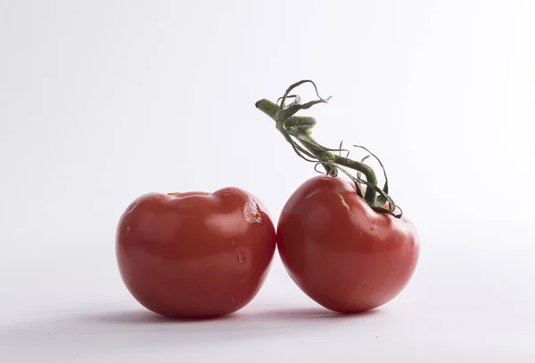 Dois Tomates Ramo — Fotografia de Stock