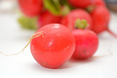 taze kırmızı turp sebze