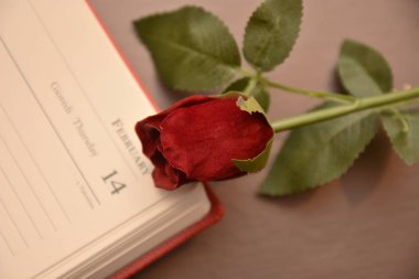 Gül hediye Saint Valentine'S gün aşık şenlik romantik tutku için seviyorum