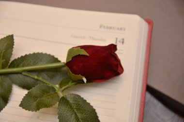 Gül hediye Saint Valentine'S gün aşık şenlik romantik tutku için seviyorum