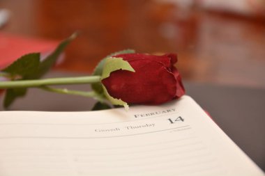 Gül hediye Saint Valentine'S gün aşık şenlik romantik tutku için seviyorum