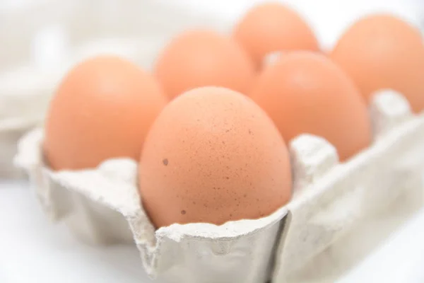 Huevos Frescos Cartón Nutition Ecológico —  Fotos de Stock