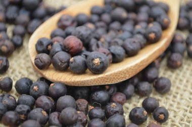 Ardıç meyveleri maddeler gıda organik doğa tarım tahta kaşık