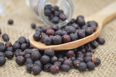 Ardıç meyveleri maddeler gıda organik doğa tarım tahta kaşık