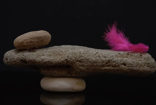 denge taşlar ve kırmızı tüy denge ağırlığı