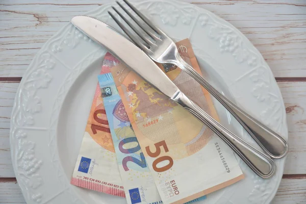 money euro in dish concept banknote euro money for eat economy
